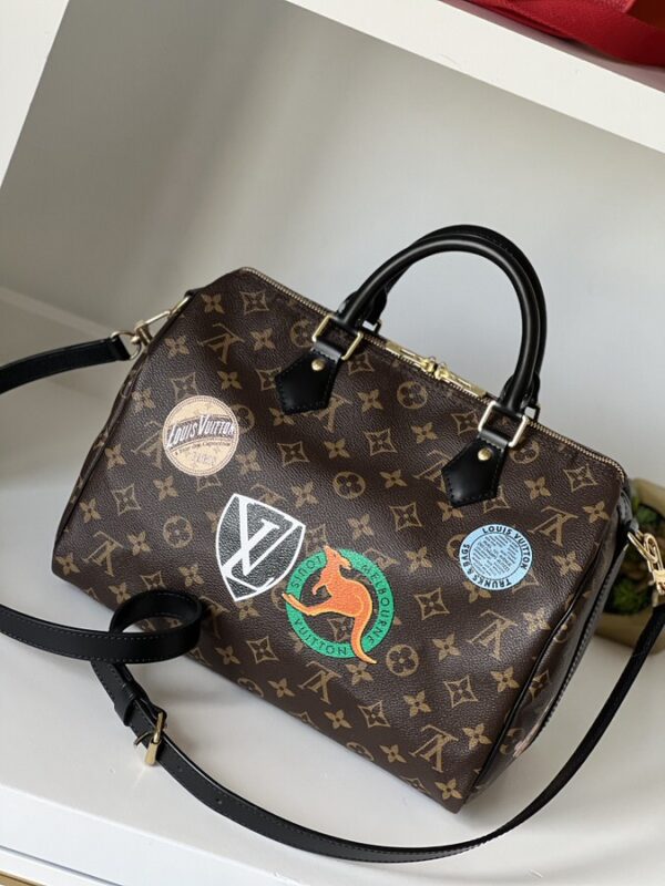 Louis Vuitton World Tour Speedy 30 Bandouliere - Image 6