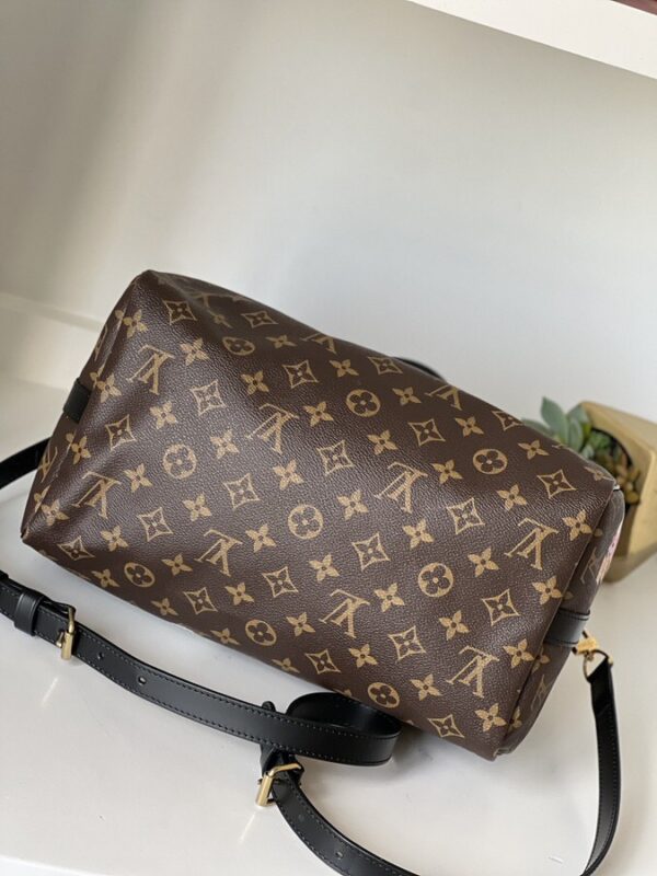 Louis Vuitton World Tour Speedy 30 Bandouliere - Image 8