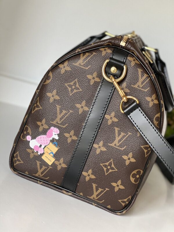 Louis Vuitton World Tour Speedy 30 Bandouliere - Image 10