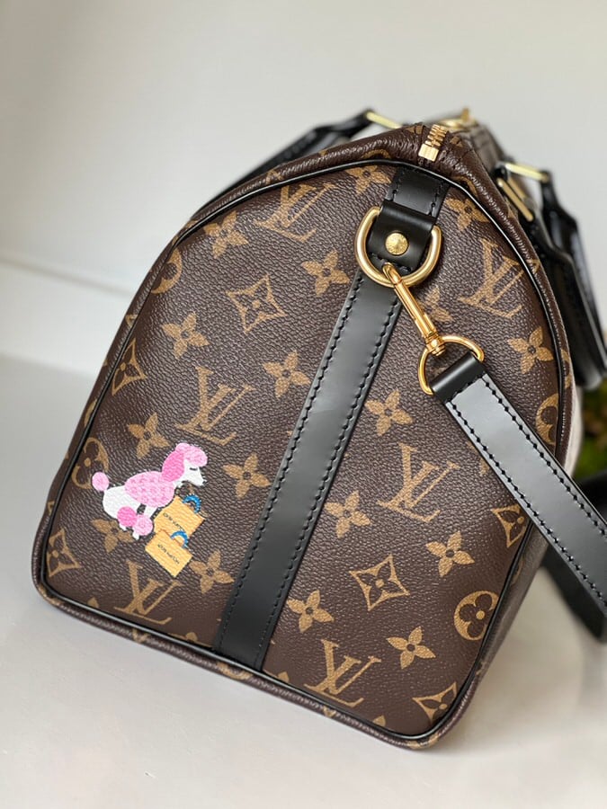 Louis Vuitton World Tour Speedy 30 Bandouliere - LVLENKA