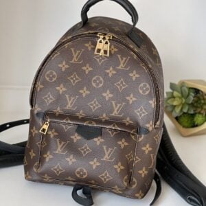 Louis Vuitton Palm Springs PM Monogram