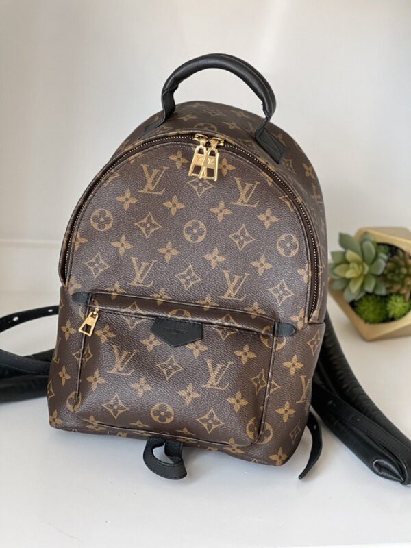 Louis Vuitton Palm Springs PM Monogram