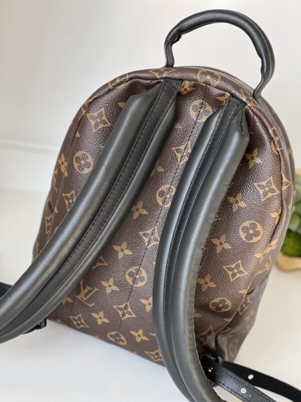 Louis Vuitton Palm Springs PM Monogram - Image 14