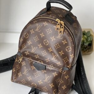 Louis Vuitton Palm Springs PM Monogram