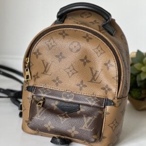 Louis Vuitton Palm Springs Mini Monogram Reverse