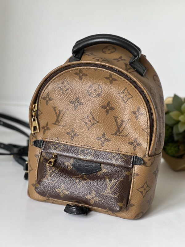 Louis Vuitton Palm Springs Mini Monogram Reverse
