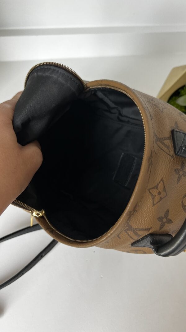 Louis Vuitton Palm Springs Mini Monogram Reverse - Image 12