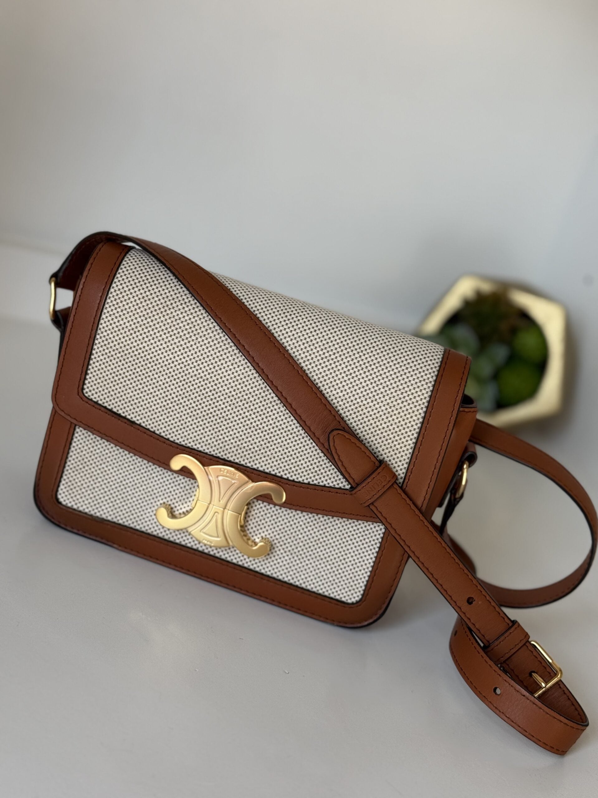 IMG_3444 Celine Calfskin Classique Triomphe Bag White Tan - Image 1