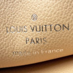 Louis Vuitton Coussin BB Light Green Lambskin Crossbody - Image 4