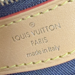 Louis Vuitton Diane Monogram Crossbody - Image 6